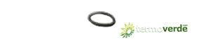Bandini guarnizione ORING resistenza vite per scaldabagno