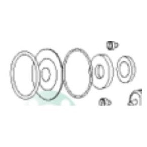 Injecta Athena 4 O-ring corpo pompa PTFE - 99107116