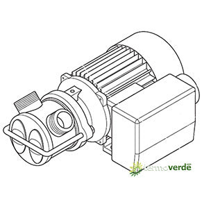 Liverani EP Junior I 1''¼ Pompa nautica 3~230/400V TE1