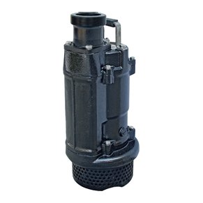 Speroni SK 140-11 pompa drenaggio ghisa