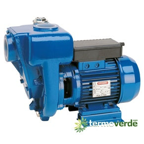 Speroni HG 100-9.5 pompa monoblocco